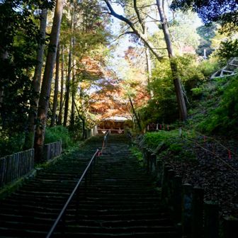 山門の下は、滑り易い階段。