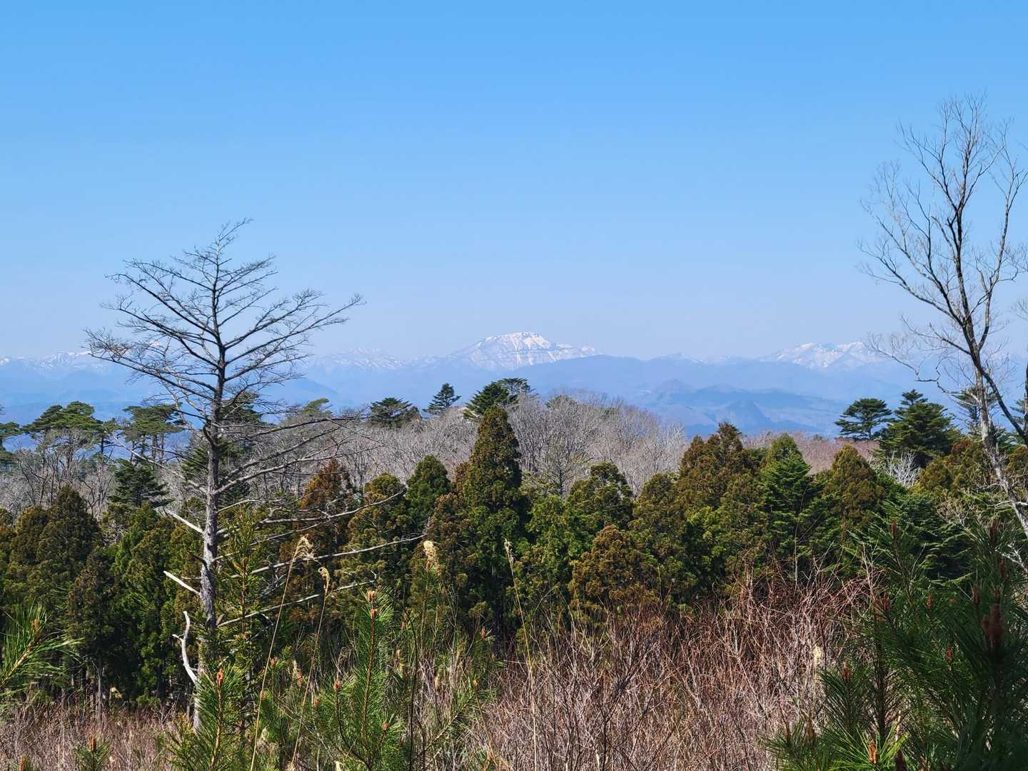 貸し切り展望