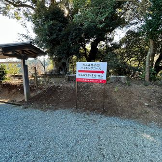 男坂登りが短いので女坂より急登か