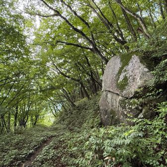 印象的なでっかい岩