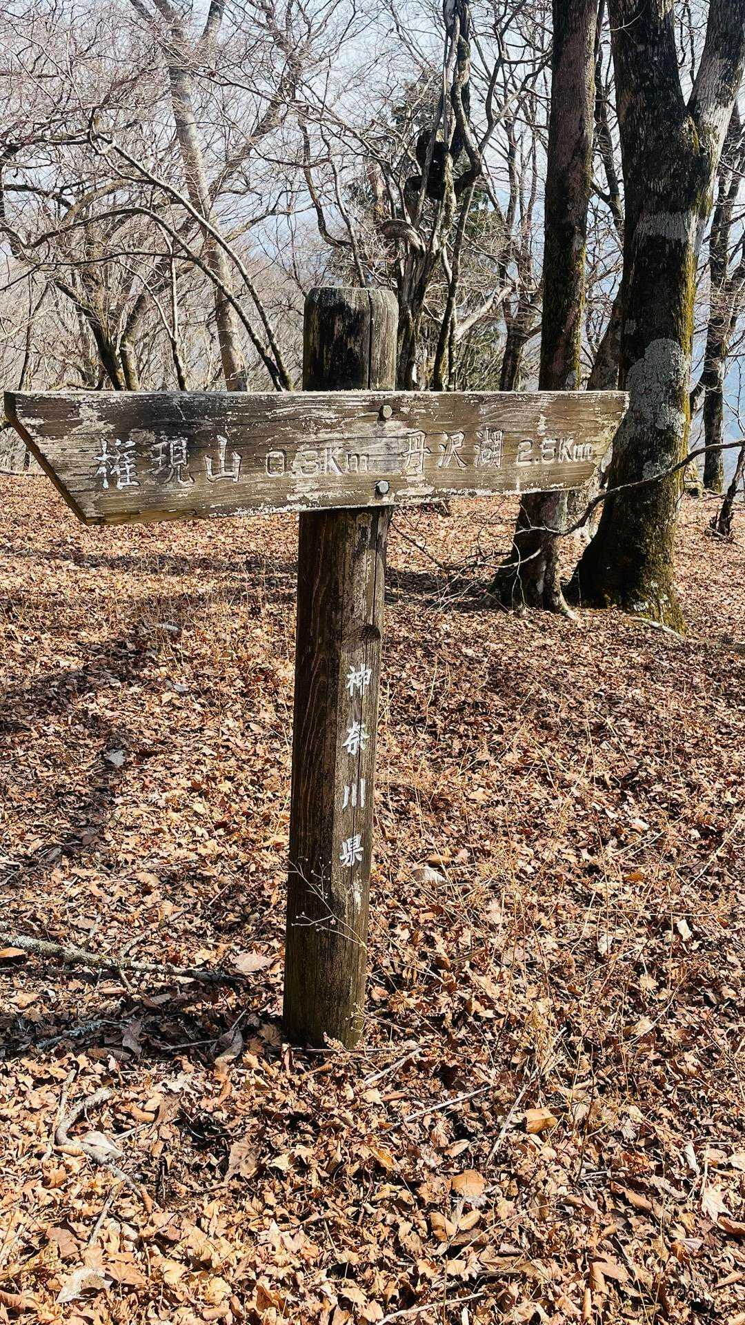 山道標識が出てきました〜丹沢湖まで2.5k