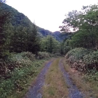 地図の🅿️マーク付近に車を停めてスタート
先行者はなしっぽい🥺
林道が思ったより時間がかかり出発が遅れる