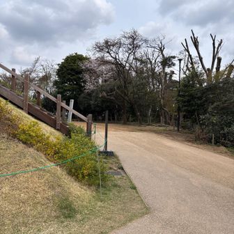 山頂グルっと周れるようになってました！