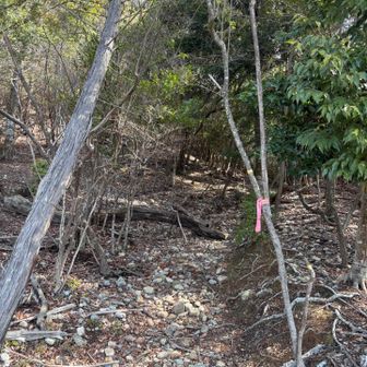 山道に入ります