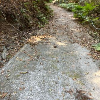 林道(ง ˙ω˙)วｲｸ︎💕︎