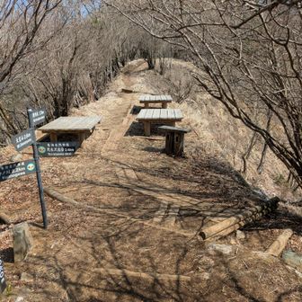 犬越路の日当たりのよいベンチでひと休みして用木沢へ。