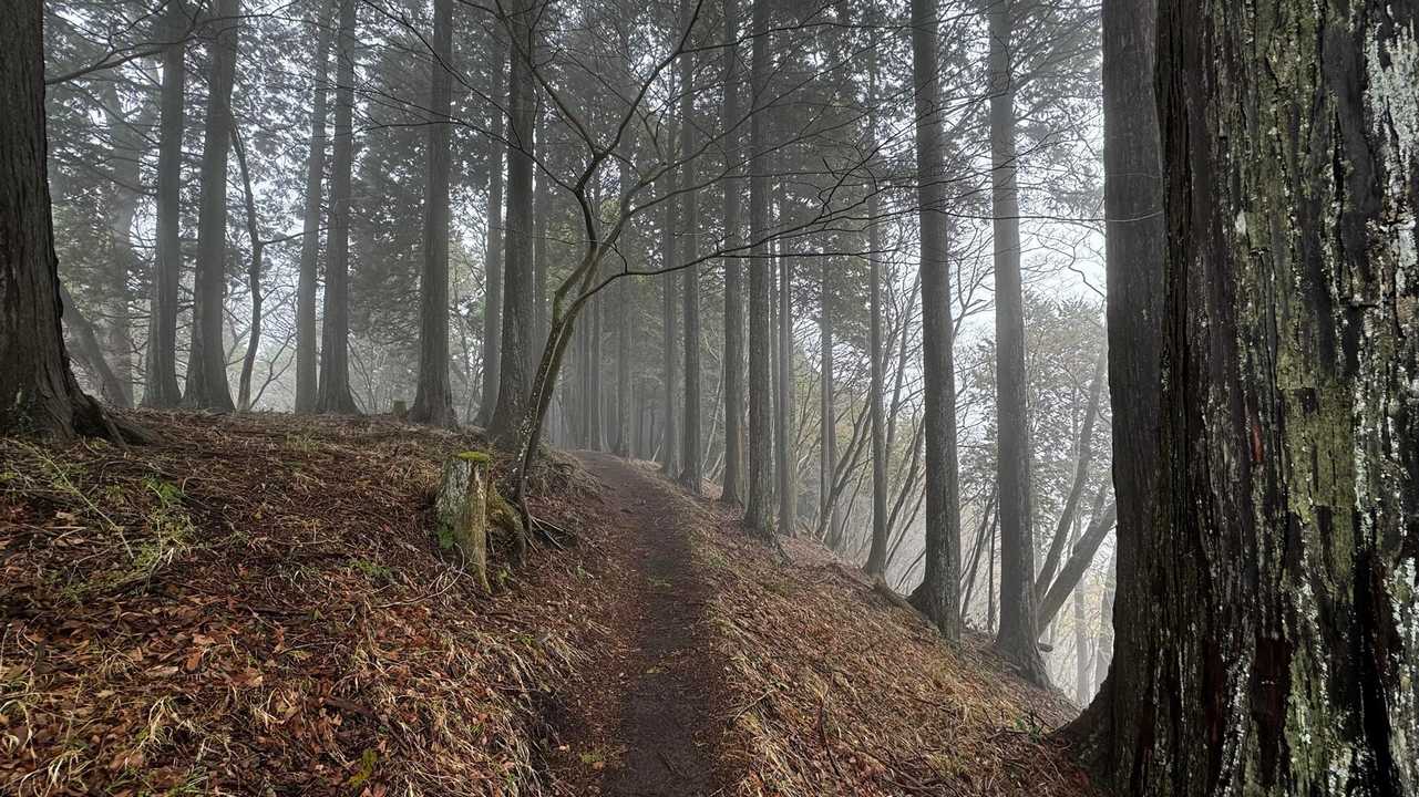 鍋割山・塔ノ岳・烏尾山縦走 の写真 9