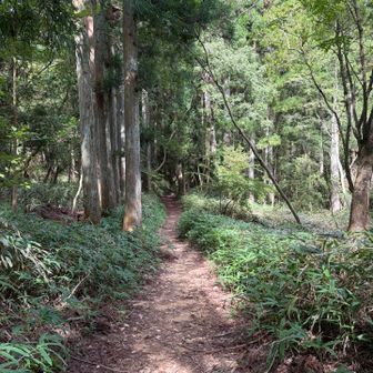 徳川道