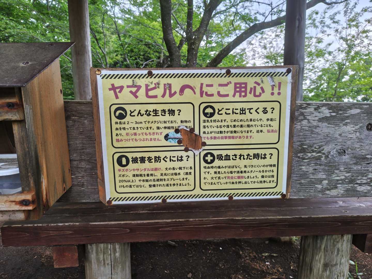 ヤマビルにご用心