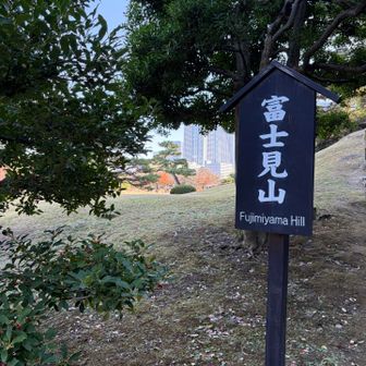 オッ！山を発見⛰️