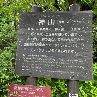 神山山頂。神山は信仰の山なのですね。箱根の最高峰でもあります。なお、ここから先、大涌谷方面は通行止めでした。山頂部は木々に囲まれて展望はありません。この後、来た道を戻り、湖尻まで下山しました