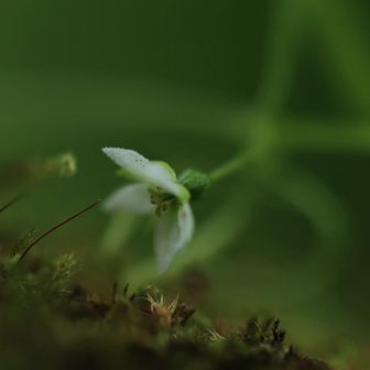 いつも小一時間、撮ってしまいます