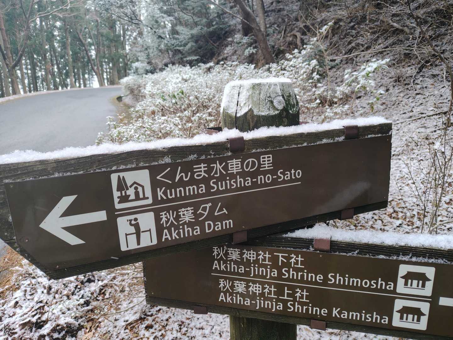 積もってるよ❄