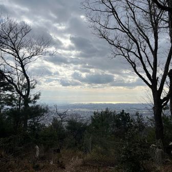 伊丹空港と大阪湾、雲で少し暗め。でも冬は空気が澄んで遠くまで見えますね。