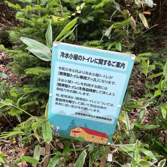 簡易トイレ持参してます