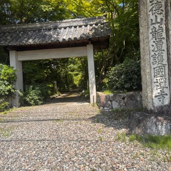 ここを歩く。古いお墓がたくさんで、暗くて薄気味悪かった😨