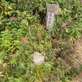 下って登って山頂*\(^o^)/*
お腹は空いてない。