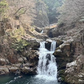 久しぶりに見る三段滝
立派な滝なんだけど、少し形が変わったような気がする🤔
少しする侵食が進んで後退しているって