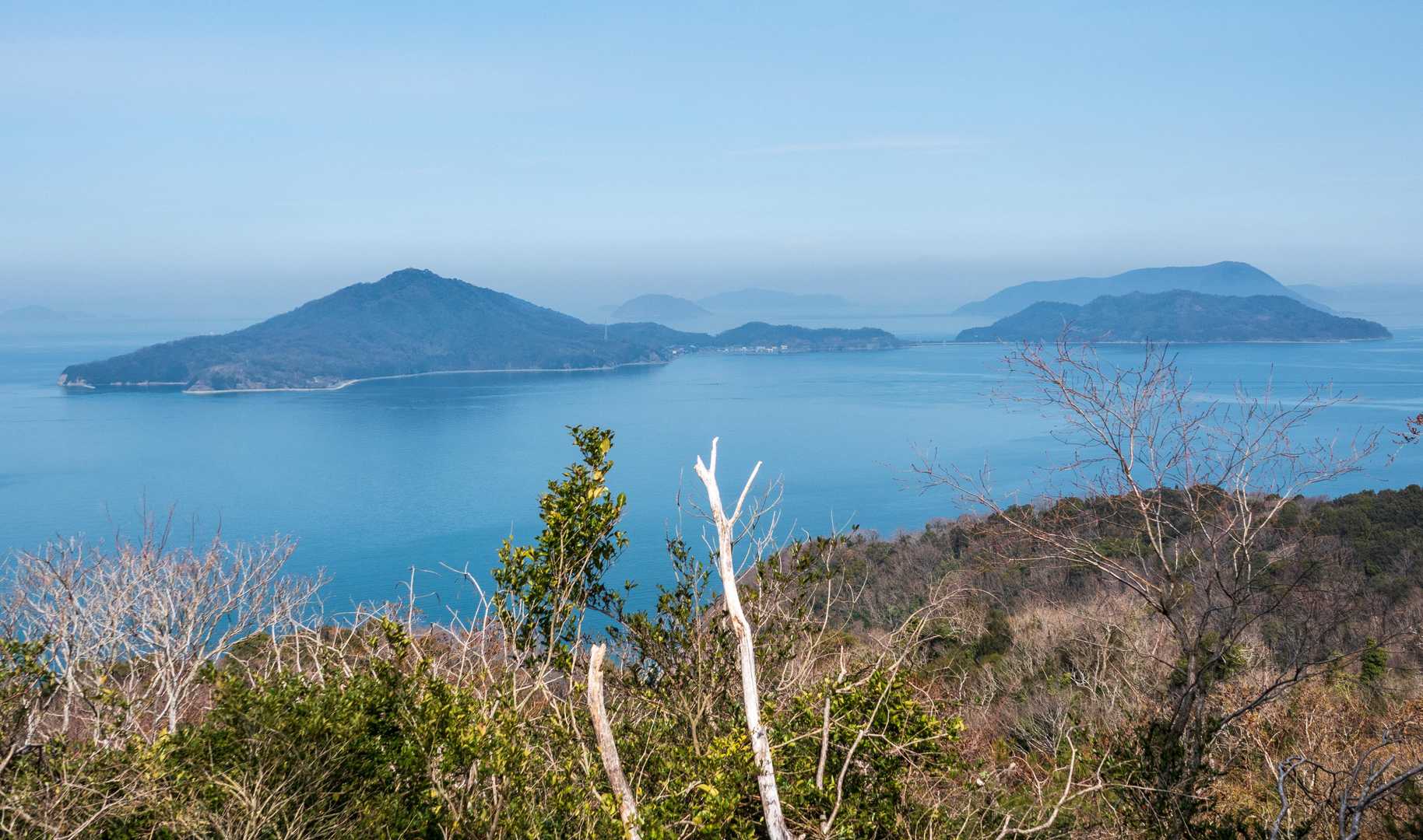 立石山-横峯山 往復コースの写真