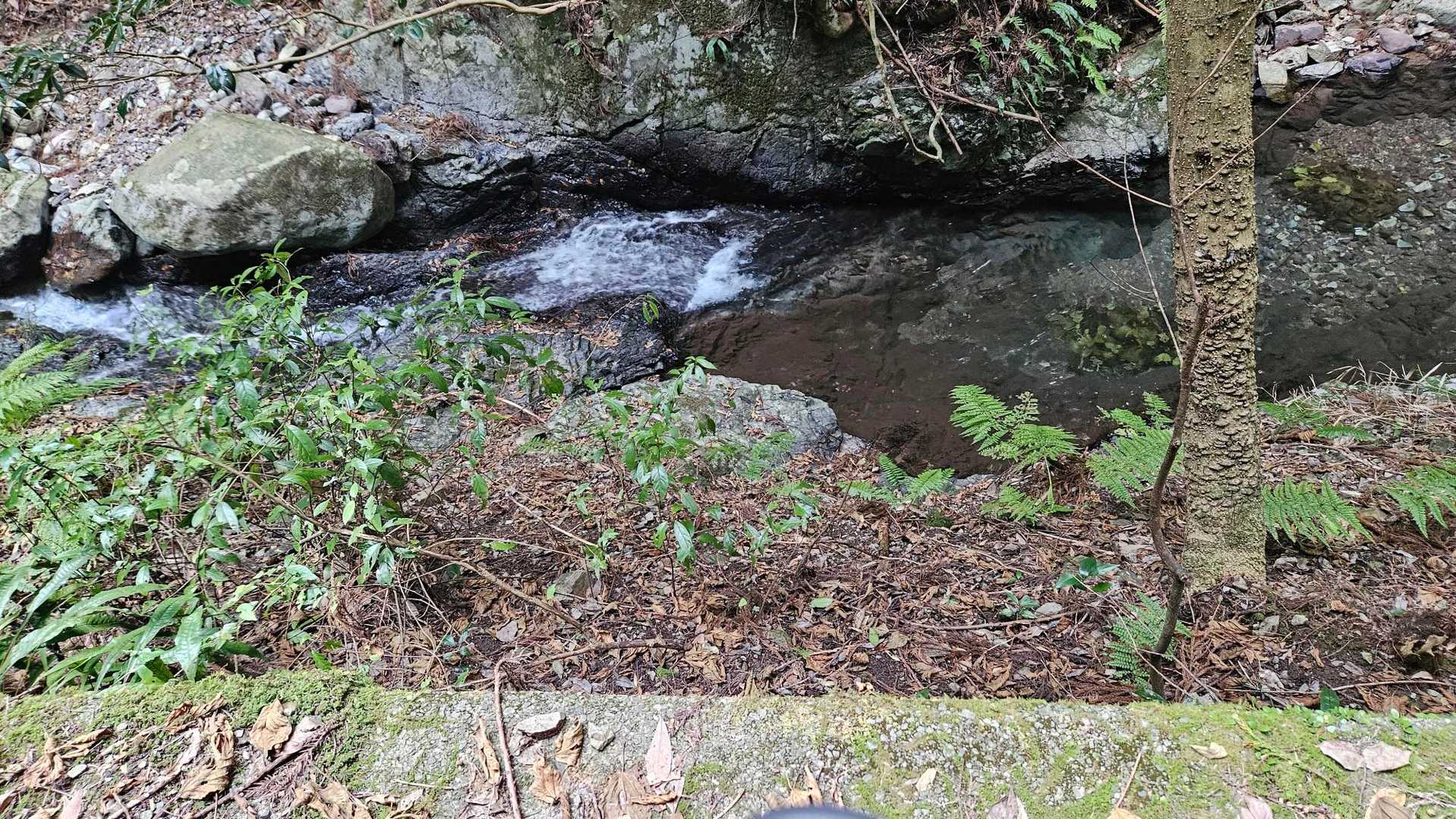 綺麗な清流❗