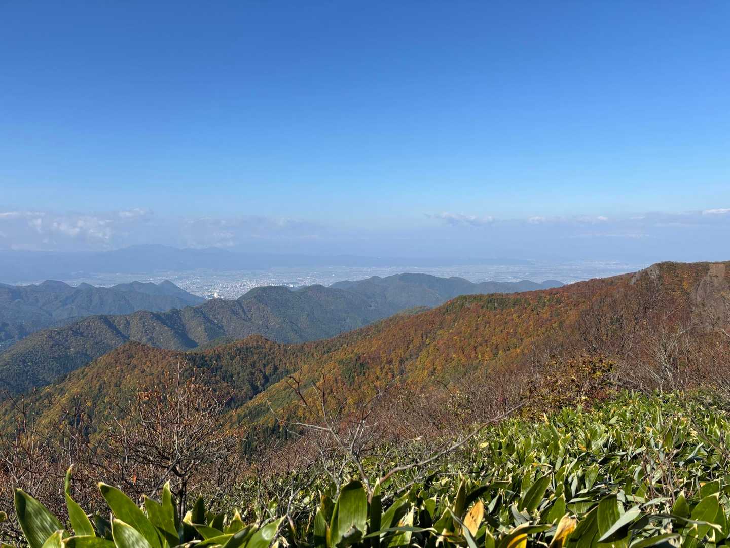 (ㆁᴗㆁ✿︎)山形市内