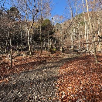 ここから旧千円札のモデルになったポイントに行けるみたい