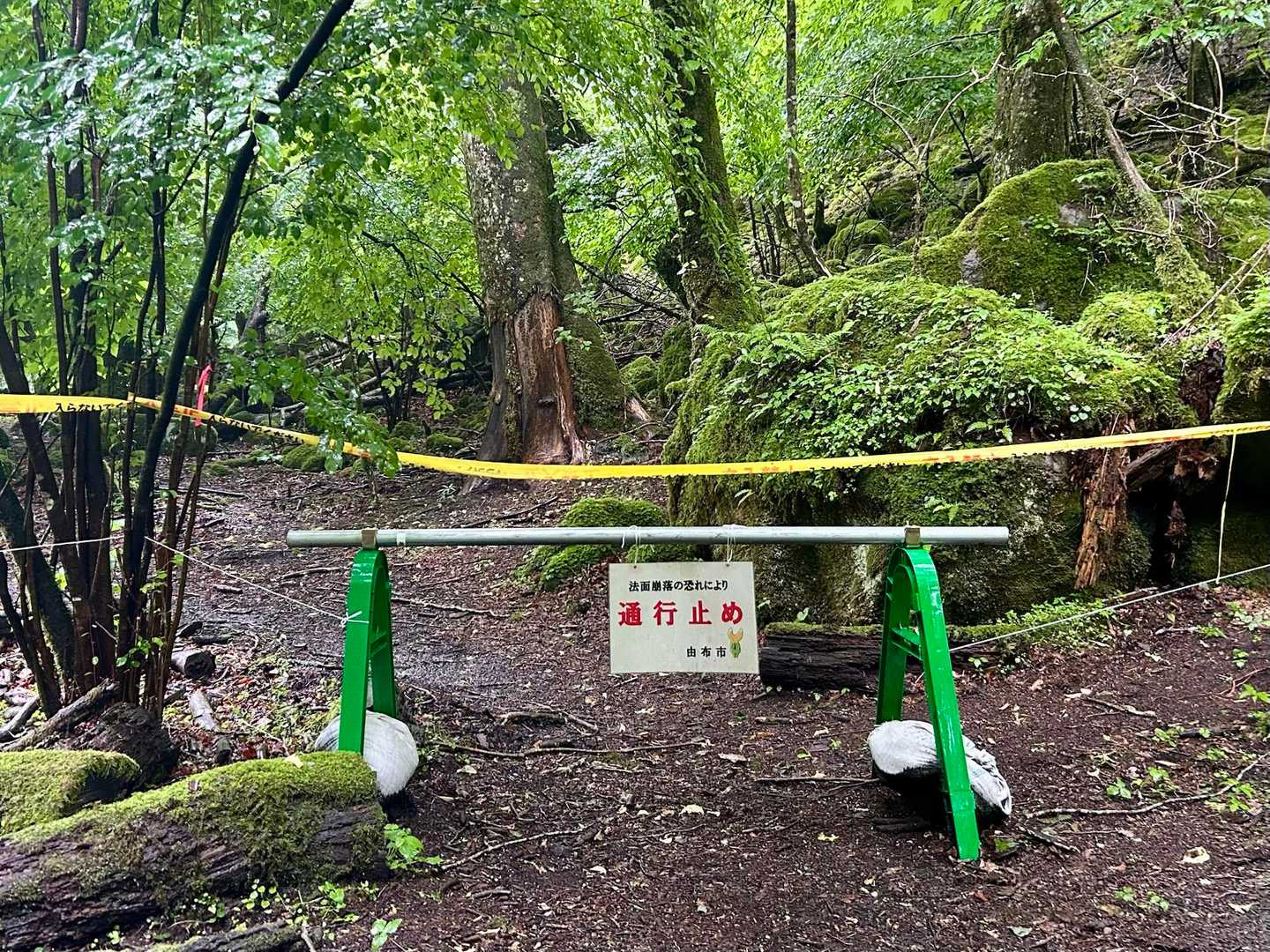 やっぱり通れんのや(´-_-｡`)ｻﾞﾝﾈﾝ