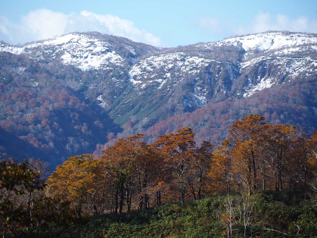 雪を被った山が見えた