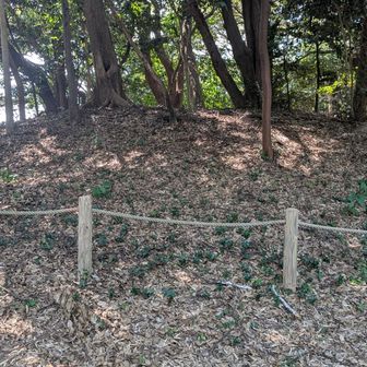 丸山３号墳
こっちは円墳