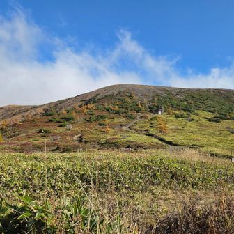 ここからの白根山。
立入禁止です。