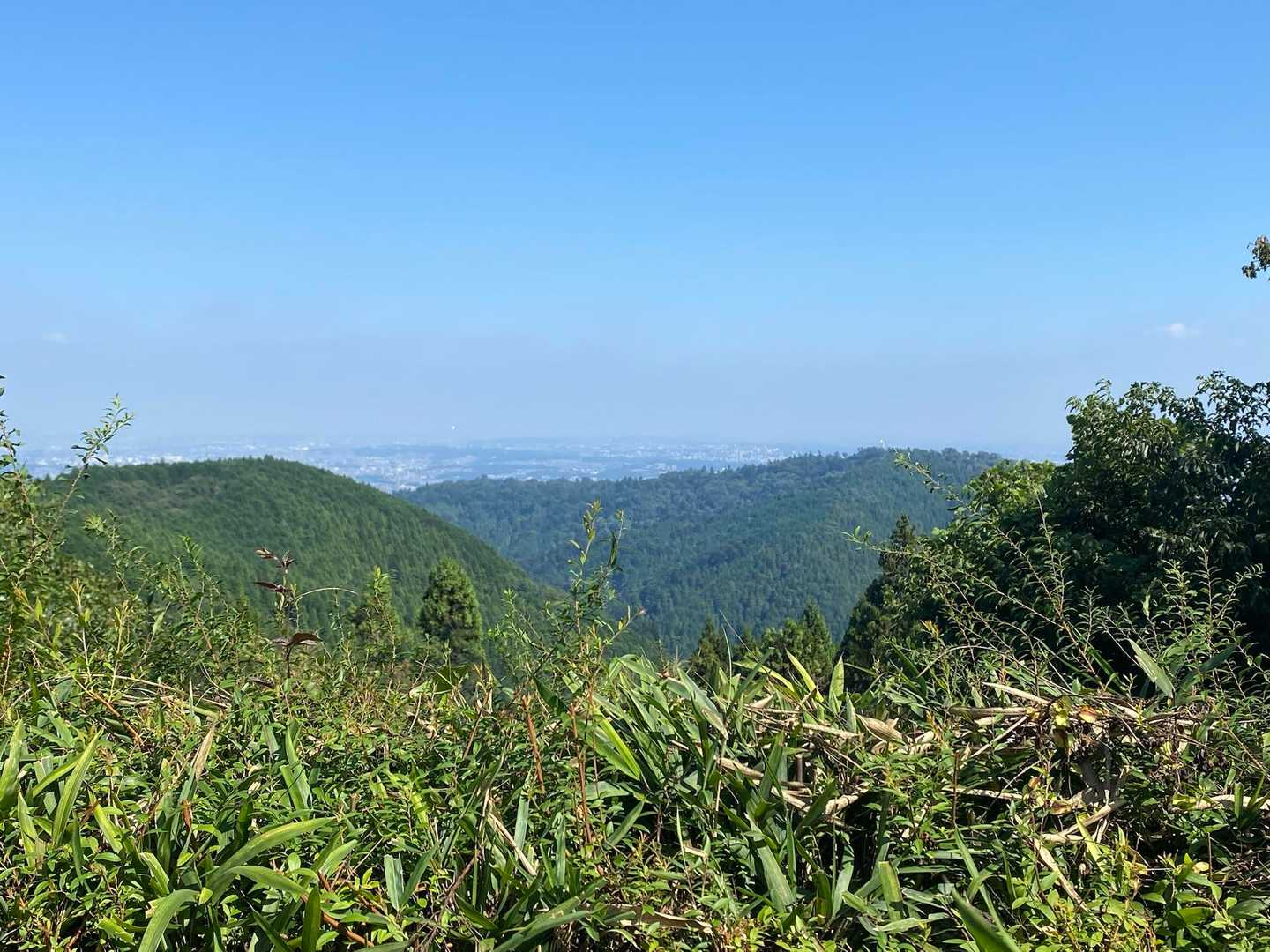 高尾山口駅-高尾山-城山-峰尾山-相模湖駅 縦走コースの写真