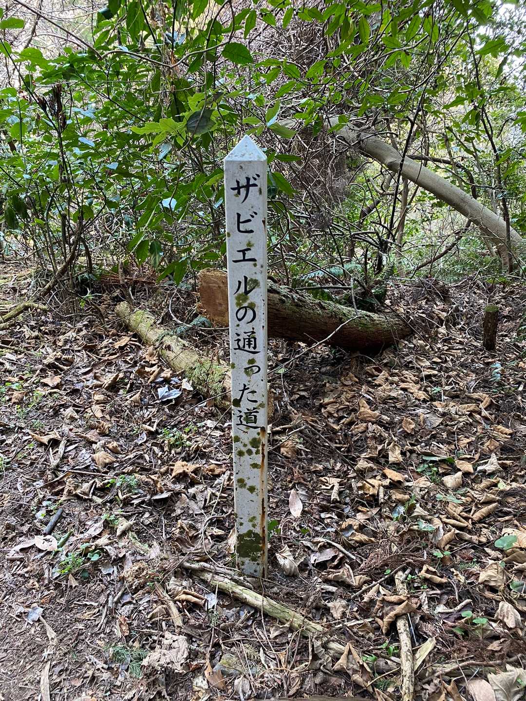 西鹿鳴越道登り口-石切り場跡-七つ石山 往復コースの写真