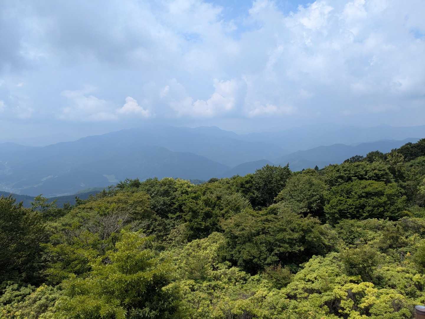 植松山辺り