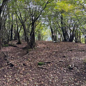 山頂の様子