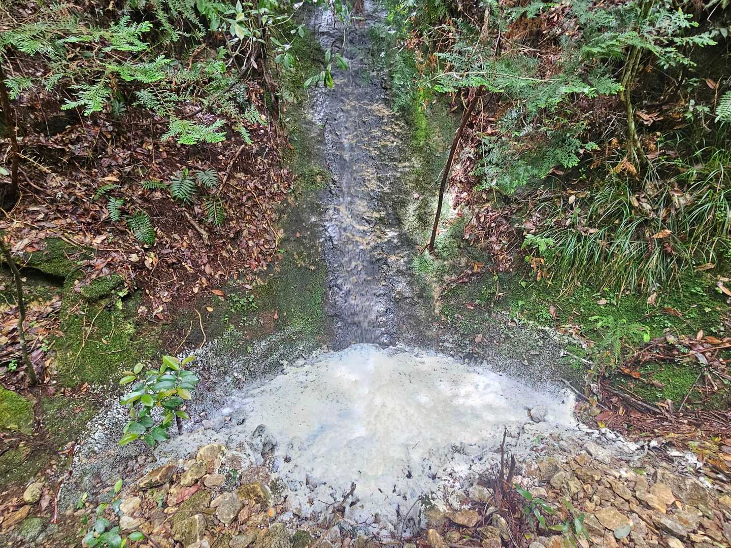 宇連山-瀬戸岩-棚山 周回コースの写真