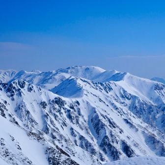 ノゴロも雪被ってて良き良き