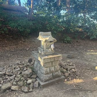 お邪魔してます🙏