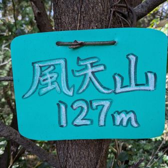 風天山の頂きへ