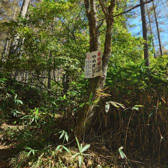 ボッチに刺さる警告…