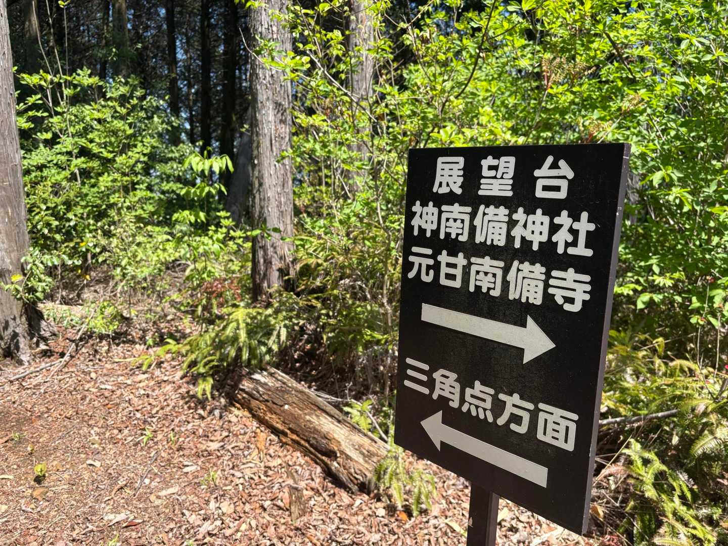 三角点の標識あり👌