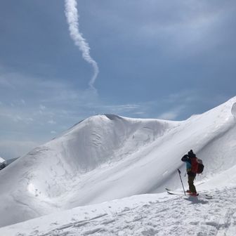 ラビッツハウス