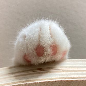 ぎんさん