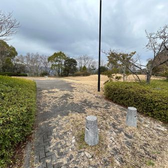 第八エイド（西風新都）
（スタートから約95km地点）
散々下らされた😭
ただ、試走ではここで水が補給できます
それと少し行った所にトイレ🚽あり。