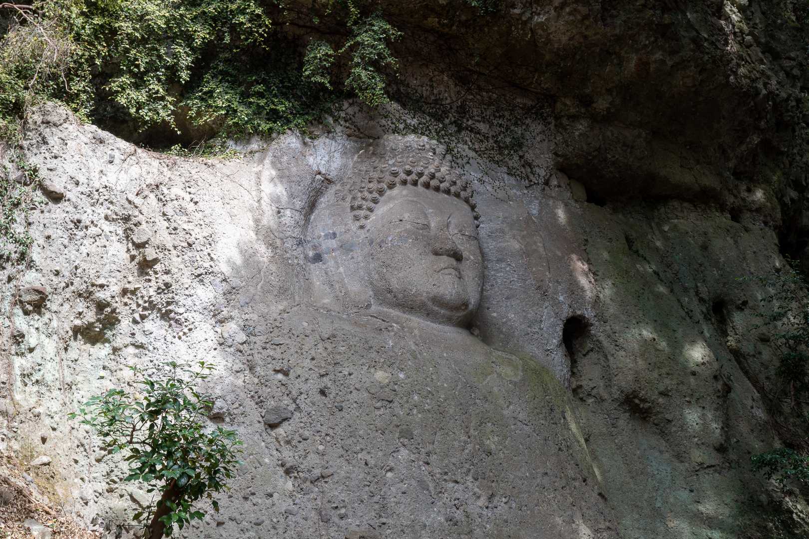 これが見たかったんですよ。