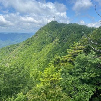 馬の背からの景色