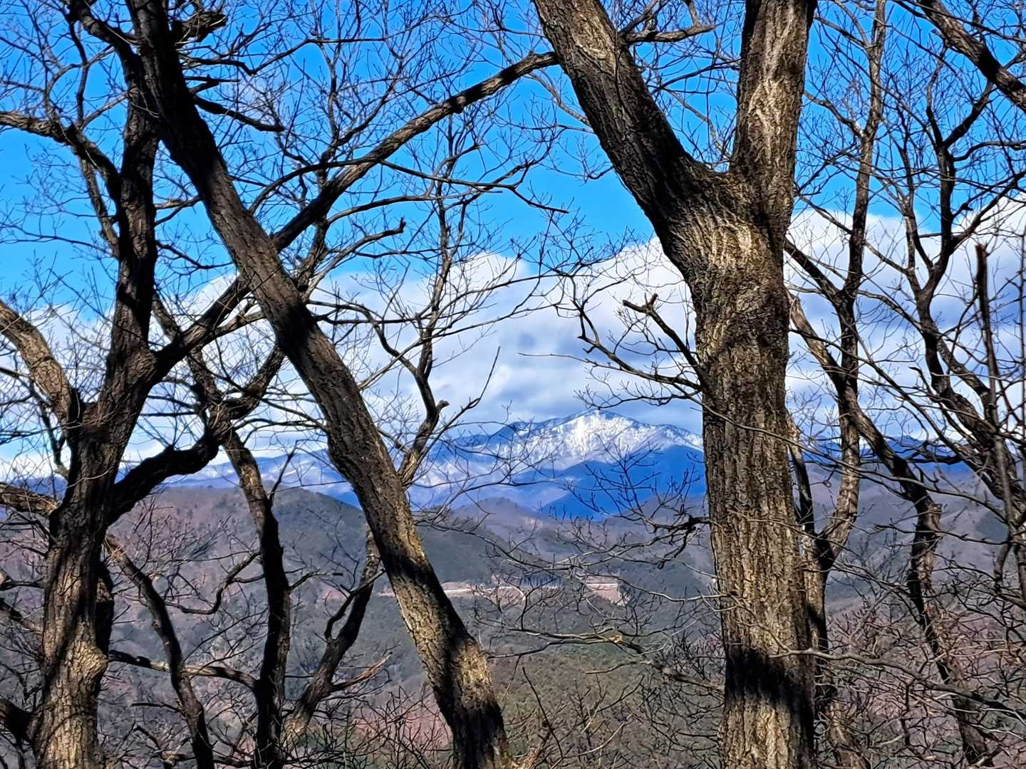 稜線歩き😊
隙間から、
景色を眺めて…
❄雪化粧❄のお山…🤍