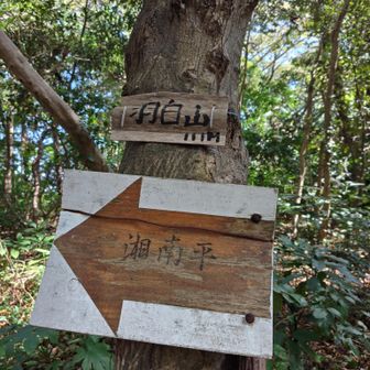 まずは目白山