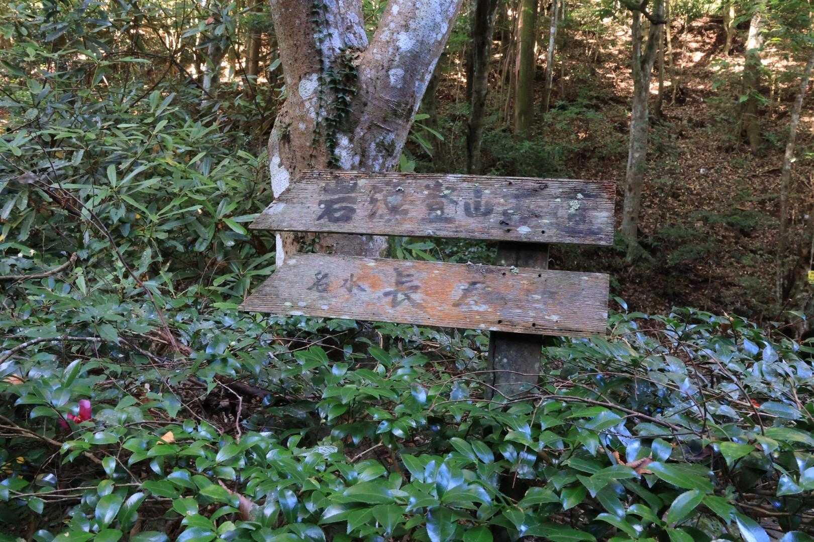 初めての岩湧山へ行って来まーす
