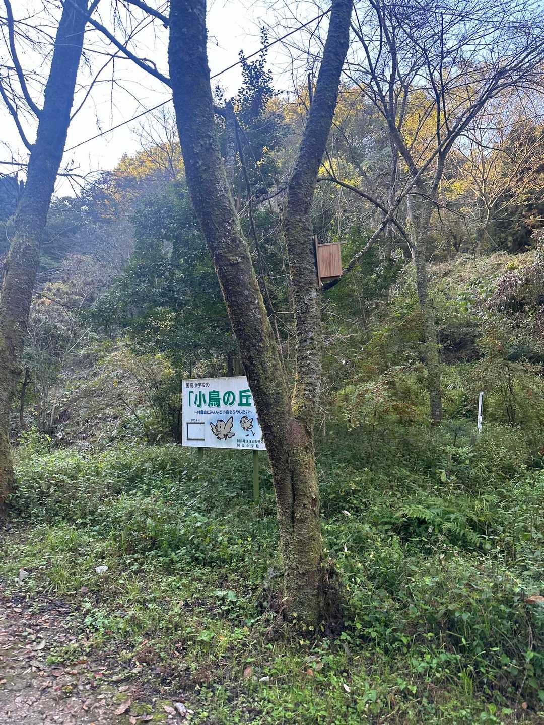 巣箱がいっぱい