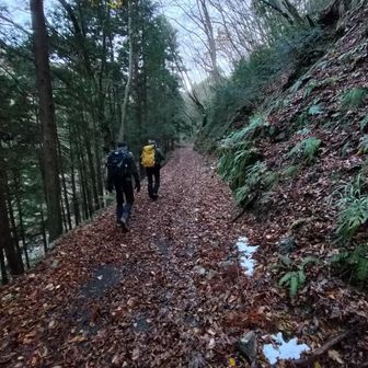 長〜い林道歩き
話し相手がいるといいね
